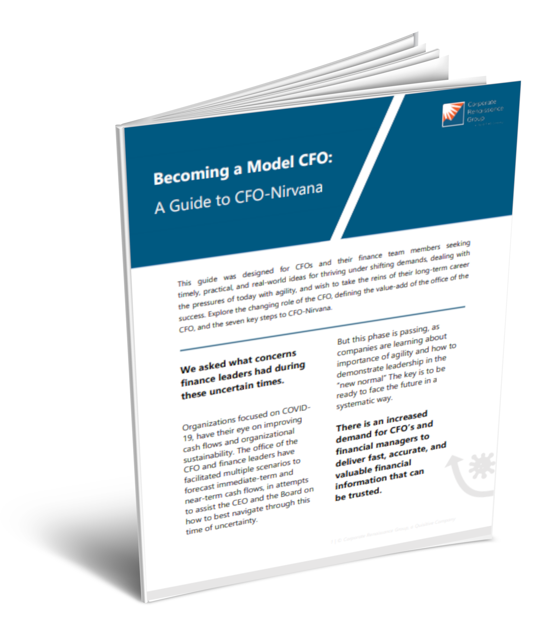 Becoming a Model CFO: A Guide to CFO-Nirvana | CRGroup