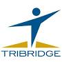 TRIBRIDGE partner logo